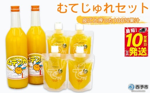 <むてじゅれセット(みかんジュース「ムテンカ」720ml×2本 じゅれ 2種×2個)MJ-2>温州みかん ミカン 飲むゼリー あけはまシーサイドサンパーク 贈答用 愛媛県西予市【常温】『最短10営業