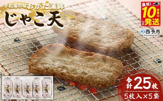 宇和海の味 おがた蒲鉾 じゃこ天詰合せ(ギフト可)愛媛県西予市17000魚介・海産物その他 魚介・海産物