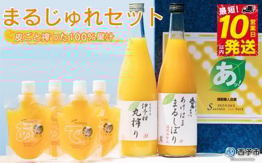 <まるじゅれセット MJ-1> 温州みかん いよかん ミカン 飲むゼリー ジュレ オレンジ ジュース デザート スイーツ あけはまシーサイドサンパーク 贈答用 愛媛県 西予市【常温】『最短10営業