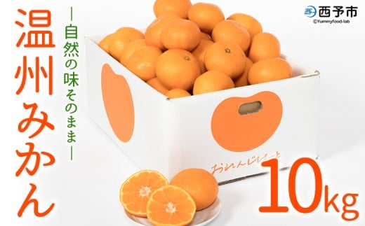 <温州みかん 約10kg> 柑橘 みかん ミカン 蜜柑 果物 くだもの フルーツ オレンジ うんしゅうみかん 国産 愛媛県産 特産品 おれんじはーと 食べて応援 西宇和 愛媛県 西予市 【常温】『2025年