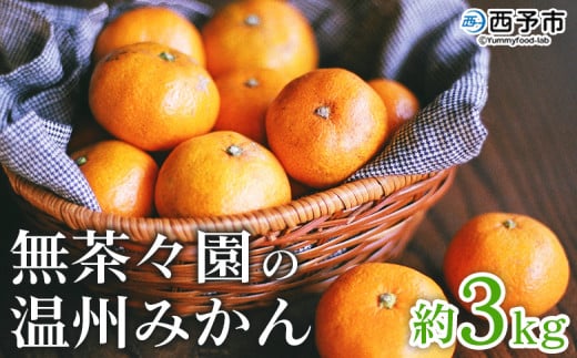 <無茶々園 温州みかん 約3kg> 果物 くだもの ミカン 蜜柑 柑橘 フルーツ うんしゅうみかん 選べる内容量 贈り物 ギフト おいしい 期間限定 季節限定 食べて応援 特産品 愛媛県 西予市 【常