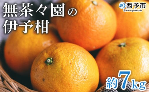 <無茶々園の伊予柑 約7kg> 果物 いよかん イヨカン みかん ミカン 蜜柑 柑橘 フルーツ 選べる内容量 期間限定 季節限定 特産品 愛媛県 西予市【常温】愛媛県西予市16000果物・フルーツみか