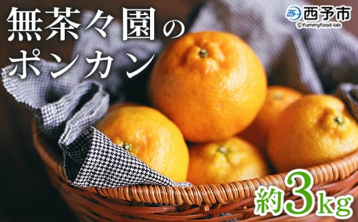 X̃|J 3kg ʕ  t[c Iׂe ۂ񂩂 ݂  k 񂫂 { Â Z VN Ԍ Gߌ Yn Yi Q \s y퉷z