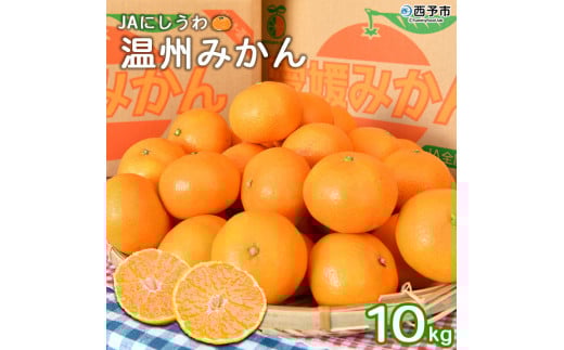 JAにしうわ 温州みかん10kg愛媛県西予市13000果物・フルーツみかん・柑橘類