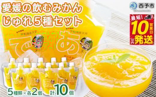 <愛媛の飲むみかんじゅれ 5種セット 計10個(5種類×各2個)> 飲むゼリー 果物 温州みかん 伊予柑 デザート スイーツ あけはまシーサイドサンパーク 贈答用 愛媛県西予市【常温】『最短10営