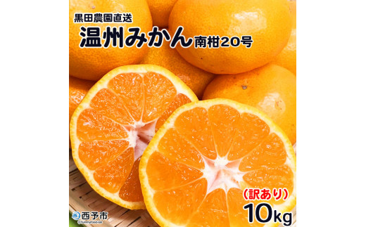 <訳あり 温州みかん 約10kg 南柑20号 黒田農園直送> 果物 ミカン 家庭用 自宅用 サイズ不揃い 柑橘 フルーツ 食べて応援 特産品 西宇和 愛媛県 西予市 【常温】『2025年12月中旬〜2026年1月中
