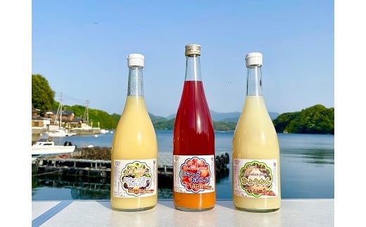 大人のオレンジジュース 赤い稲妻セット(お酒で割るのがおススメ編)数量限定愛媛県西予市12000お茶・飲料果汁・野菜飲料