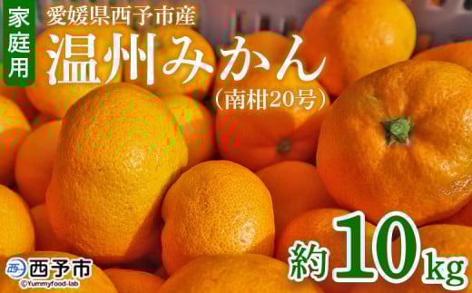 先行予約 <愛媛県西予市産 温州みかん(南柑20号)家庭用 約10kg(サイズ不揃い・小傷あり)> 訳あり  果物 くだもの ミカン 柑橘 フルーツ 食べて応援 特産品 段畑みかん 愛媛県 西予市【