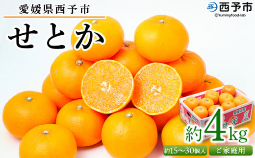<愛媛県西予市産 せとか ご家庭用 約4kg> 訳あり 不揃い 傷 果物 フルーツ みかん ミカン 蜜柑 セトカ オレンジ 柑橘類 選べる 甘い 期間限定 食べて応援 特産品 宇都宮物産 【常温】『2026