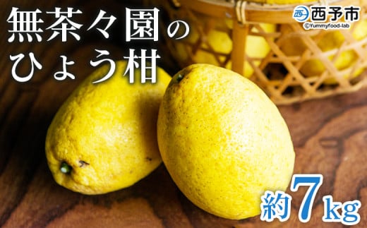 <無茶々園のひょう柑 約7kg> 果物 みかん ミカン 蜜柑 柑橘 フルーツ ひょうかん 弓削瓢柑 特産品 愛媛県 西予市【常温】愛媛県西予市17000果物・フルーツみかん・柑橘類