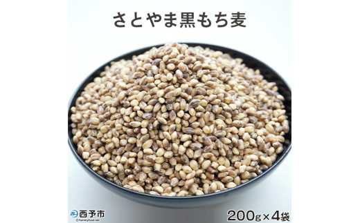 西予市産さとやま黒もち麦 800g愛媛県西予市6000米・パン玄米・雑穀米・もち米・餅