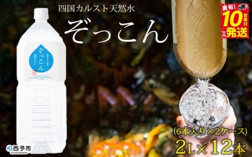 四国カルスト天然水ぞっこん 2L(6本入り)×2ケース 計12本愛媛県西予市16000お茶・飲料水・ミネラルウォーター