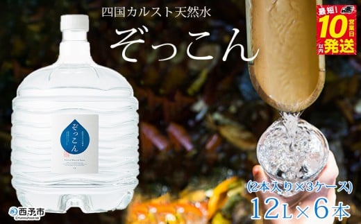 四国カルスト天然水ぞっこん (12L×2本)×3ケース 計6本愛媛県西予市41000お茶・飲料水・ミネラルウォーター