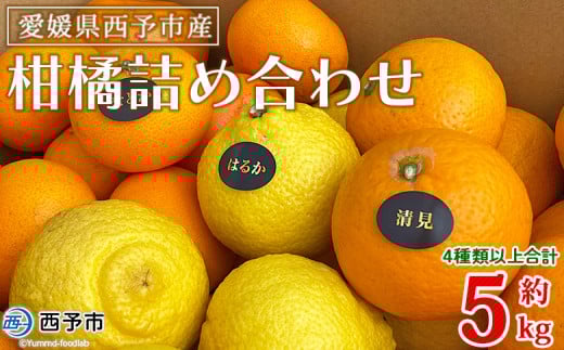 <愛媛県西予市産 柑橘詰め合わせ 合計約5kg> 果物 フルーツ お任せ おまかせ お楽しみ みかん ミカン 蜜柑 食べ比べ 詰合せ セット ご家庭用 柑橘 特産品 夕焼け山農園 愛媛県 西予市 【常