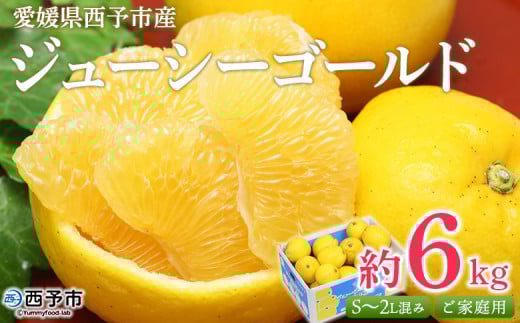 <ジューシーゴールド(河内晩柑) ご家庭用 約6kg> 訳あり 果物 フルーツ かわちばんかん じゅーしーごーるど みかん 蜜柑 オレンジ 柑橘 食べて応援 特産品 宇都宮物産 愛媛県 西予市 【