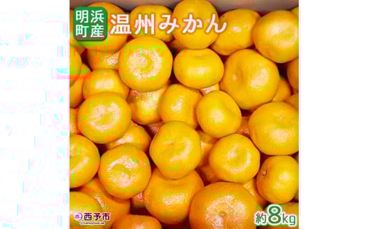産地直送!!愛媛県明浜町産 温州みかん8kg(宇都宮農園)愛媛県西予市13000果物・フルーツみかん・柑橘類