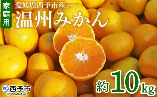 <愛媛県西予市産 温州みかん 家庭用 約10kg> 果物 くだもの ミカン 蜜柑 柑橘 フルーツ 訳あり ワケアリ 食べて応援 特産品 段畑みかん 愛媛県 西予市【常温】『2025年10月中旬〜11月中旬迄