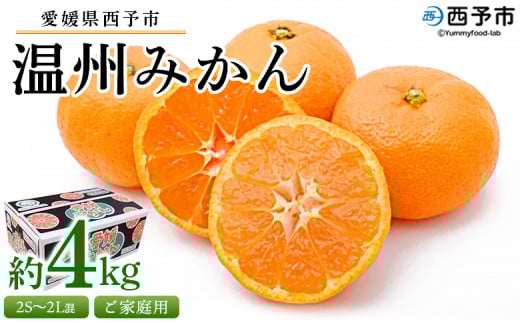 先行予約受付 <愛媛県西予市産 温州みかん ご家庭用 約4kg> 訳あり わけあり 果物 フルーツ みかん ミカン 蜜柑 オレンジ 柑橘 甘い あまい おいしい 美味しい 食べて応援 特産品 宇都宮物