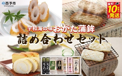 宇和海からの贈り物 おがた蒲鉾 詰め合わせセット(ギフト可)愛媛県西予市14000魚介・海産物その他 魚介・海産物