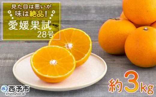 <見た目は悪いが味は絶品 愛媛果試28号 約3kg(12玉前後)>果物 みかん ミカン 柑橘 フルーツ オリジナル 期間限定 季節限定 数量限定 無茶々園 食べて応援 特産品 愛媛県 西予市【常温】