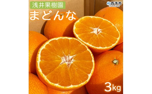紅まどんなと同品種!<浅井果樹園直送 まどんな 約3kg(数量限定)西宇和産 > 紅マドンナ 愛媛果試第28号 柑橘 果物 フルーツ オレンジ 食べて応援 特産品 産地直送 西宇和 愛媛県 西予市