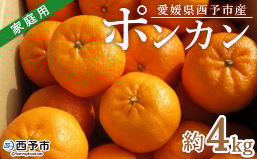 <愛媛県西予市産 ポンカン 約4kg 家庭用> 果物 くだもの ミカン 柑橘 ぽんかん フルーツ 旬 おいしい サイズ不揃い キズあり 特産品 段畑みかん 愛媛県 西予市【常温】『2026年1月中旬〜2月