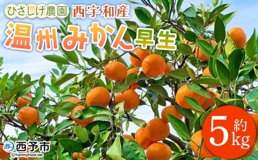 ひさしげ農園直送 西宇和産温州みかん5kg愛媛県西予市13000果物・フルーツみかん・柑橘類