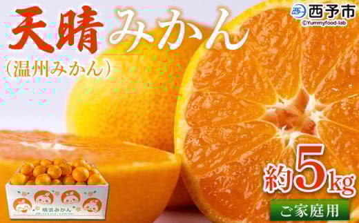 <愛媛県明浜産 天晴みかん(温州みかん)約5kg> 訳あり ミカン 蜜柑 果物 フルーツ オレンジ 柑橘 期間限定 季節限定 食べて応援 特産品 産地直送 愛媛県 西予市【常温】愛媛県西予市10000