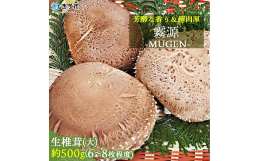 芳醇な香り&超肉厚 愛媛県産原木椎茸「霧源(MUGEN)」愛媛県西予市15000野菜・きのこその他 野菜