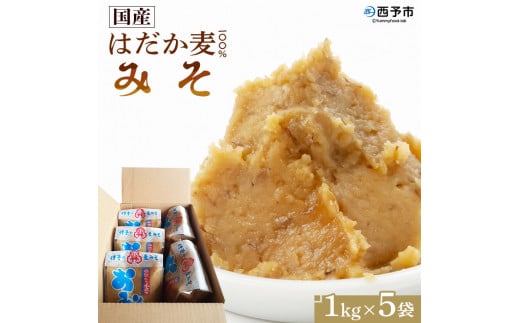 <天然醸造 国産はだか麦100%味噌(1kg×5個)> みそ 調味料 みそ汁 発酵 愛媛 西予愛媛県西予市9000調味料・油味噌