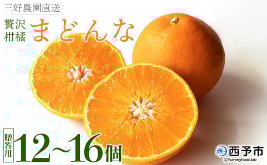 g܂ǂȂƓiIґ򊹋ku܂ǂȁvp 12`16聄 ʕ t[c Qʎ28 ݂  ~J IW }hi Mtg 蕨 Yi OD_ Fa Q 