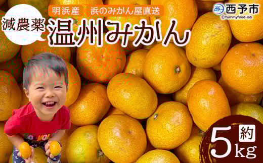 _򉷏B݂ 5kg l݂̂  lY ʕ t[c ݂ IW k  Yi Q \sy퉷zw2025N11{`12{ɏoח\xQ\s100