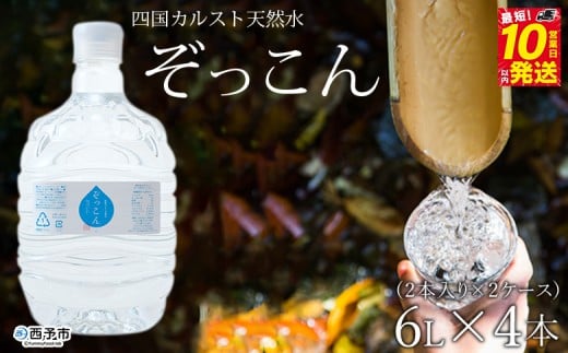 四国カルスト天然水ぞっこん(6L×2本)×2ケース 計4本愛媛県西予市15000お茶・飲料水・ミネラルウォーター