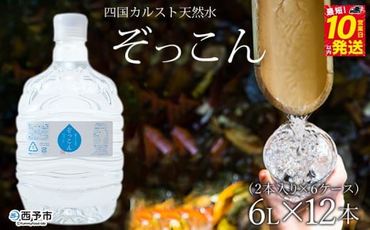四国カルスト天然水ぞっこん(6L×2本)×6ケース 計12本愛媛県西予市46000お茶・飲料水・ミネラルウォーター
