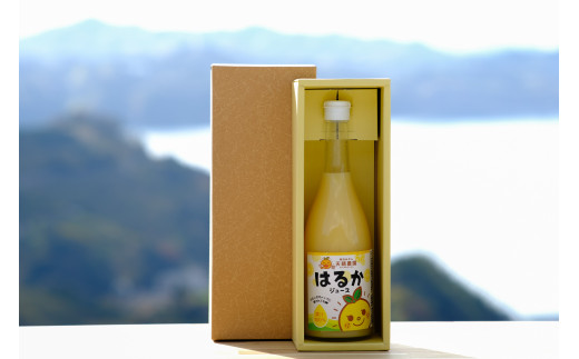愛媛県明浜産 天晴みかんジュース(はるか) 1本愛媛県西予市6000お茶・飲料果汁・野菜飲料