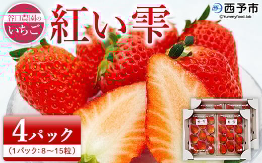 2025NJ_̂ugv1kgi250g×4pbNj\s FaY C`S ʕ t[c Xgx[ W[V[ Yi ЃtWEAOt[Y Q \sy①