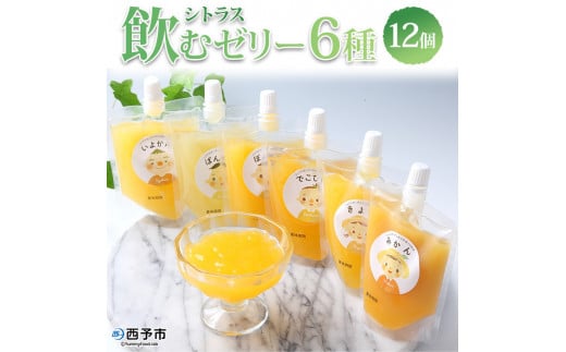 シトラス飲むゼリー12個セット愛媛県西予市15000果物・フルーツみかん・柑橘類