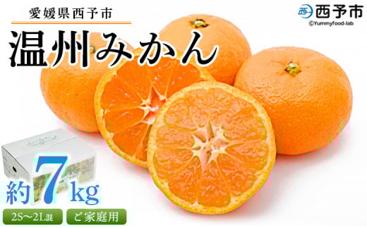 先行予約受付 <愛媛県西予市産 温州みかん ご家庭用 約7kg> 訳あり わけあり 果物 フルーツ みかん ミカン 蜜柑 オレンジ 柑橘 甘い あまい おいしい 美味しい 食べて応援 特産品 宇都宮物