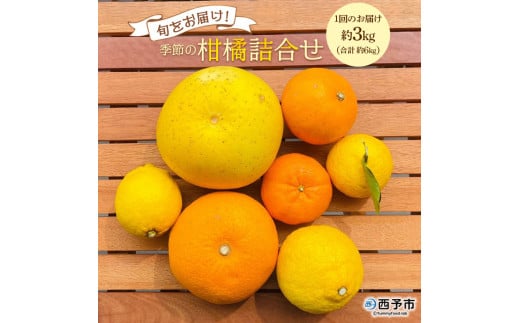 <旬をお届け!季節の柑橘詰合せ 2回定期便(1回約3kg×2回 合計約6kg)>みかん ミカン 詰め合わせ つめあわせ 蜜柑 果物 フルーツ お楽しみ 食べ比べ 特産品 愛媛県 西予市【常温】愛媛県西
