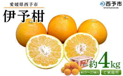 <愛媛県西予市産 伊予柑 ご家庭用 約4kg> 約15〜25個入り 訳あり 果物 くだもの フルーツ みかん ミカン オレンジ 柑橘 イヨカン いよかん 食べて応援 特産品 宇都宮物産 愛媛県 西予市【常