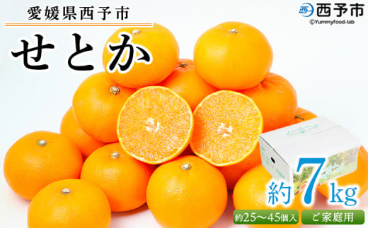 <愛媛県西予市産 せとか ご家庭用 約7kg> 訳あり 不揃い 傷 果物 フルーツ みかん ミカン 蜜柑 セトカ オレンジ 柑橘類 選べる 甘い 期間限定 食べて応援 特産品 宇都宮物産 【常温】『2026