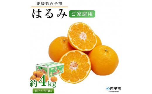 <愛媛県西予市産 はるみ ご家庭用 約4kg>約15〜30個入り 訳あり 果物 くだもの フルーツ みかん ミカン オレンジ 柑橘 期間限定 季節限定 食べて応援 特産品 愛媛県 西予市【常温】『2026年1