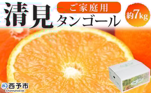 <愛媛県西予市産 清見タンゴール ご家庭用 約7kg> 訳あり ワケアリ 果物 フルーツ みかん ミカン 蜜柑 オレンジ きよみ キヨミ 柑橘類 食べて応援 旬 特産品 宇都宮物産 愛媛県 西予市【常