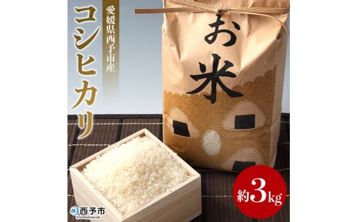 令和5年産 愛媛県西予市産 お米コシヒカリ3kg愛媛県西予市7000米・パン白米