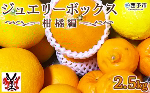 愛媛県明浜産 ジュエリーボックス(柑橘編)2.5kg【3月配送】愛媛県西予市15000果物・フルーツみかん・柑橘類