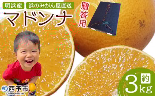 紅まどんなと同品種!<明浜産 浜のマドンナ 贈答用 約3kg> まどんな 果物 フルーツ みかん オレンジ 柑橘類 愛媛果試第28号 ギフト 特産品 産地直送 浜のみかん屋 愛媛県 西予市【常温】愛