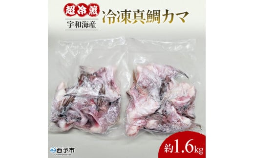 異次元の鮮度!宇和海産『超冷薫』冷凍真鯛カマ愛媛県西予市8000魚介・海産物貝類