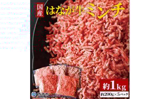 はなが牛 ミンチ 1s (200gx5p)愛媛県西予市13000肉牛肉