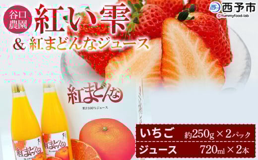 J_̂ugv500g(250g×2pbN)g܂ǂȃW[X720ml×2{ZbgC`S ʕ t[c g}hi Xg[gW[X ʏ`100 tWEAOt[Y Q \