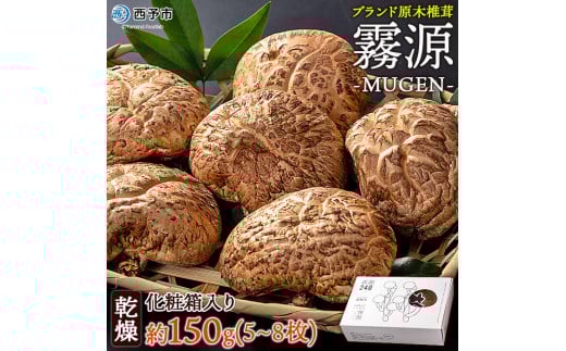 uhؒőuiMUGENjv150gi5`8jϔ舤Q\s15000؁Ê̂